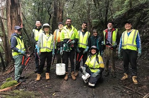 Bushcare - City of Hobart, Tasmania Australia