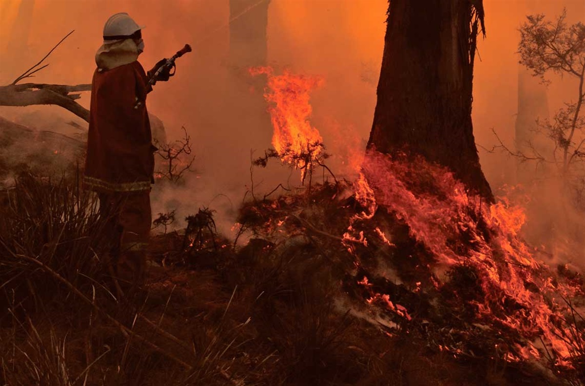 Prepare For Bushfire Season City Of Hobart Tasmania Australia