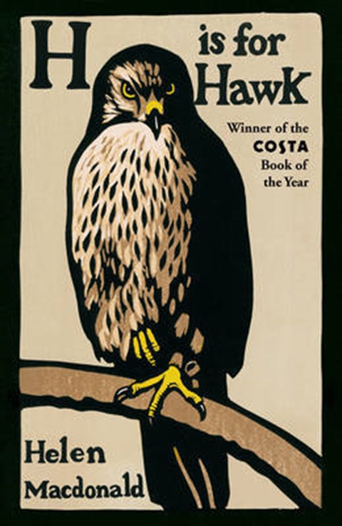 H is for Hawk.jpeg