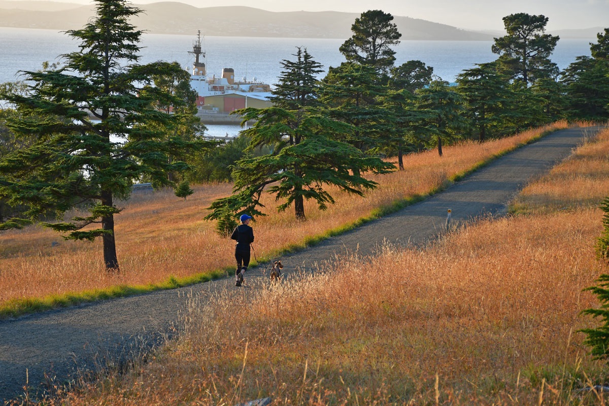 Queens-Domain-Grasslands.jpg