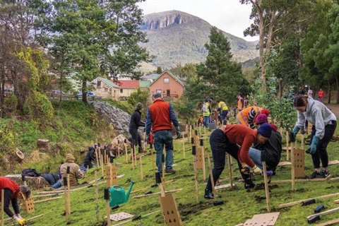 Rivulet Vegetation Management Plan