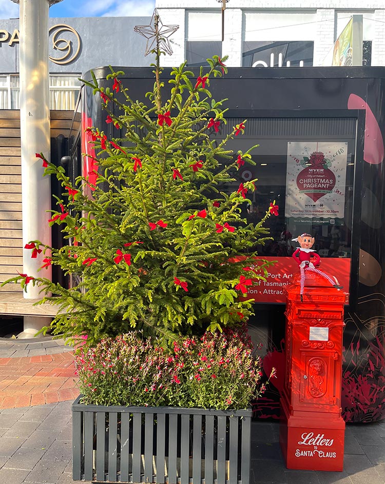 Santa's Letterbox