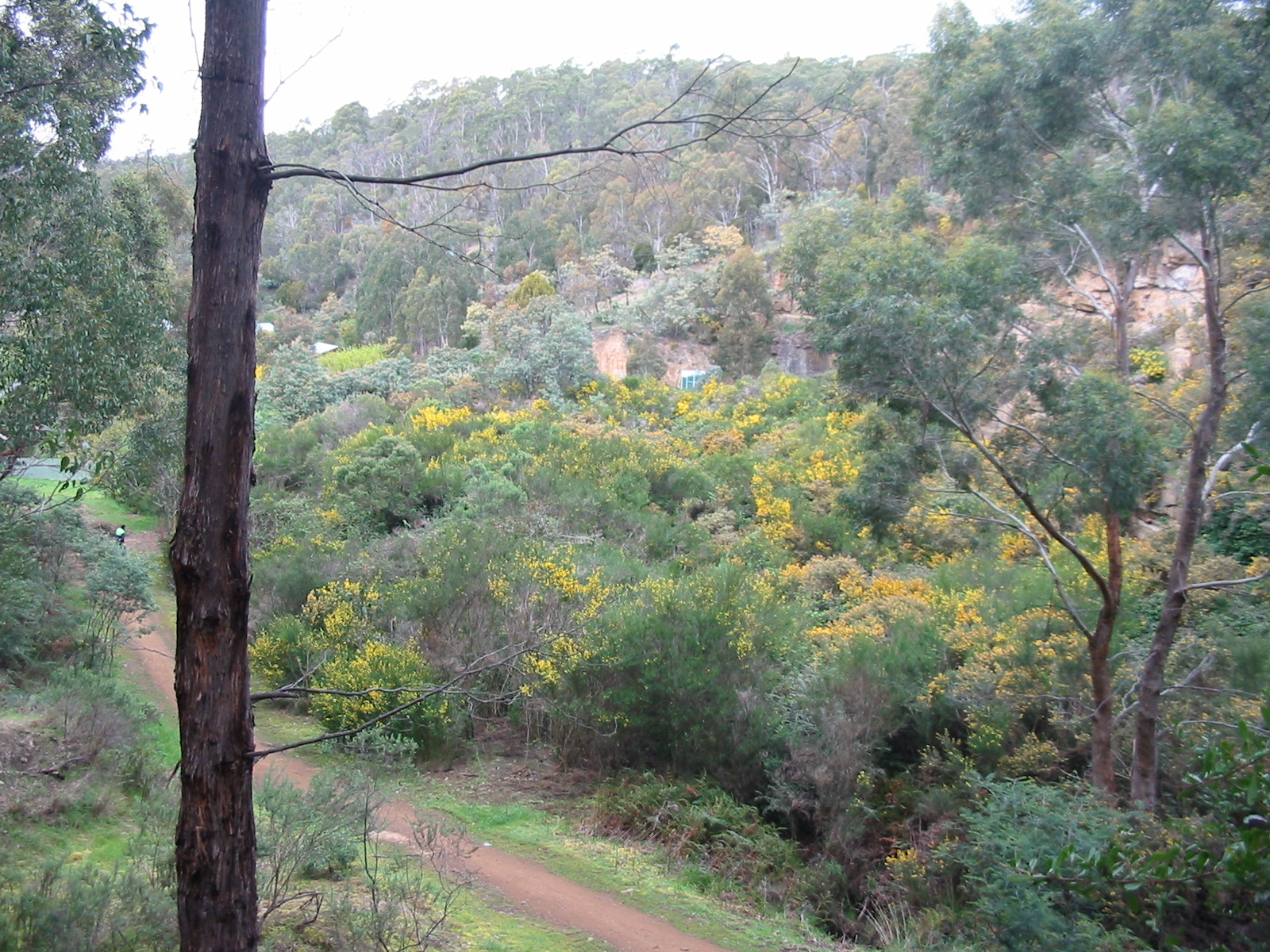 Factory Reserve