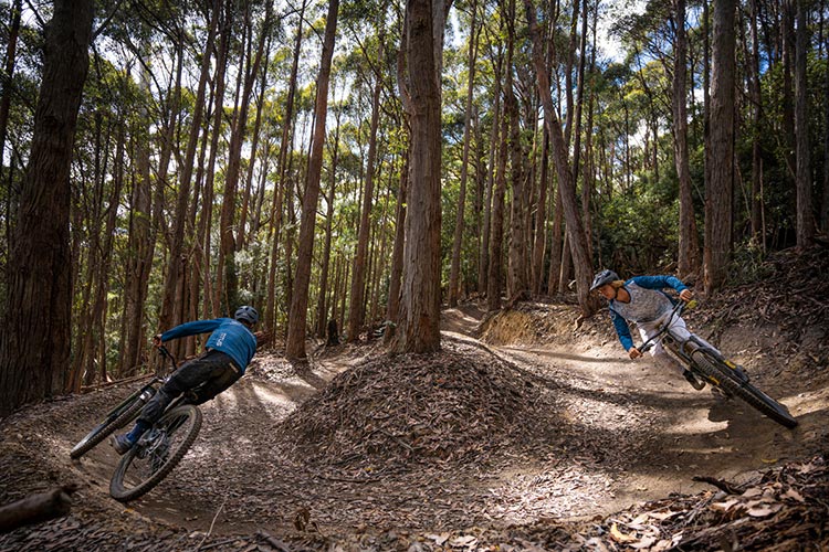 Riding City of Hobart Tasmania Australia