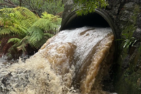 Stormwater System Management Plan