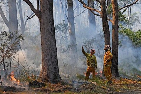 Bushcare Walk & Talks: Caring for the Bush Through Fire - Knocklofty ...