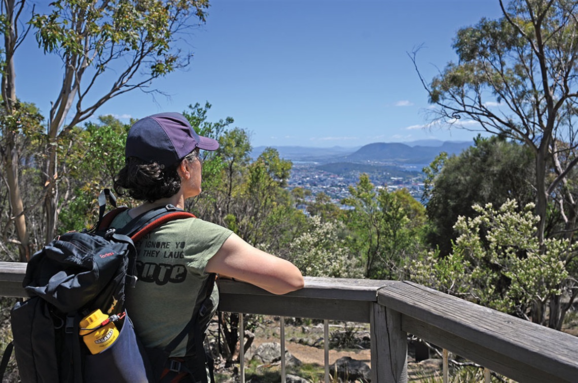 Bicentennial-Park-Lookout.jpg