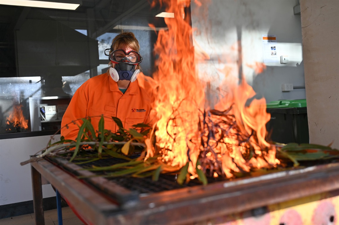 Testing plant flammability