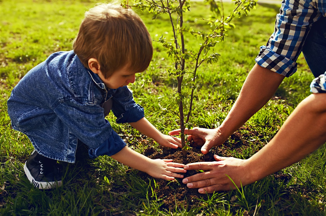 Father and son planting a tree