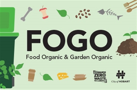 FOGO web tile.jpg