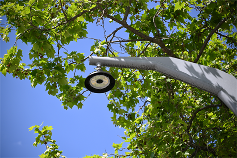 Castray Esplanade light pole.