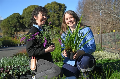 Nature-strip-plants-Hobart-Nursery-2024-June-6-JS1_3991.jpg