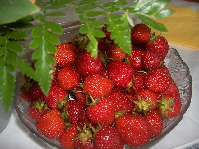 Garden_Strawberries_in_Germany.JPG