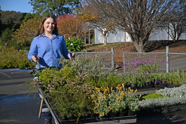 Nature-strip-plants-Hobart-Nursery-2024-June-6 (socials).jpg