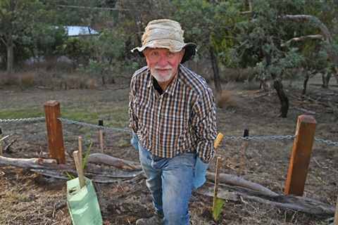 Bushcare-Lenah-Valle-Volunteer-Ross-Stephens.jpg