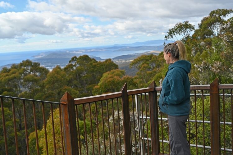 The Springs Lookout